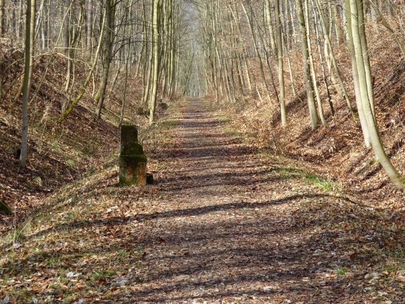 Gedenkweg Buchenwaldbahn